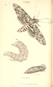 n393_w1150