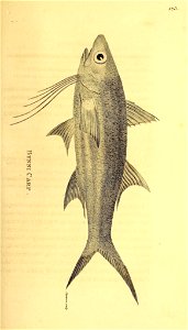 n290_w1150