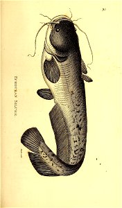n34_w1150