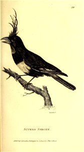 n408_w1150