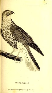 n256_w1150