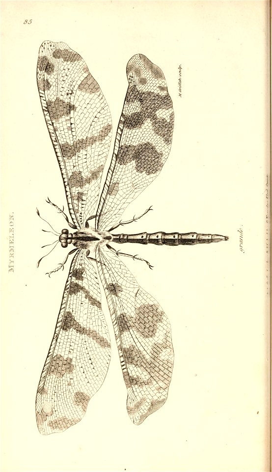 n53_w1150