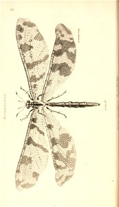 n53_w1150