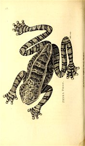 n209_w1150