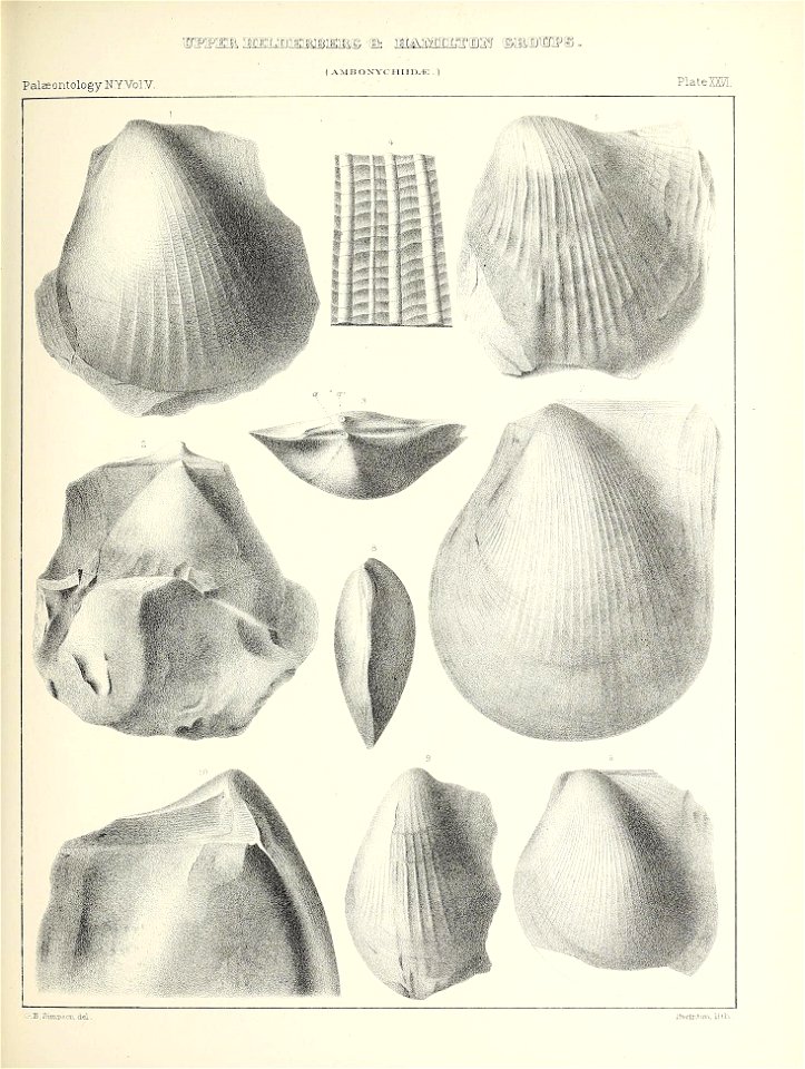n394_w1150