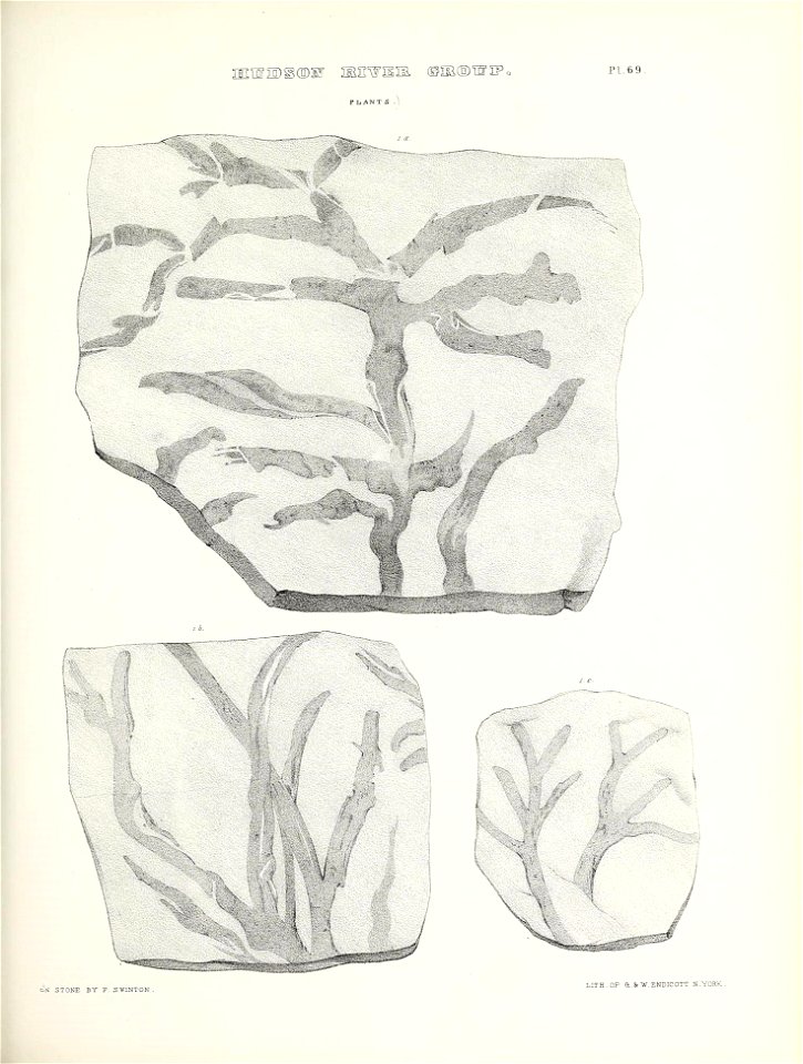 n696_w1150