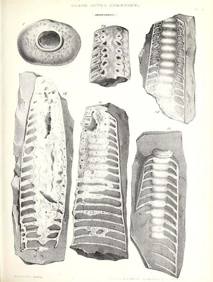n448_w1150