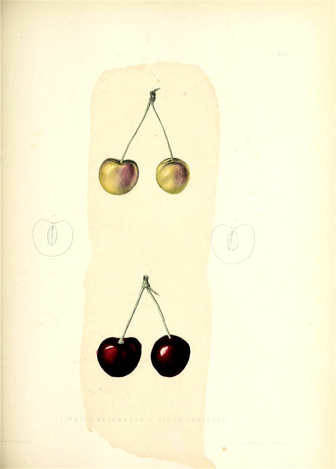 n172_w1150