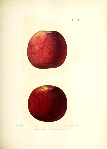 n142_w1150