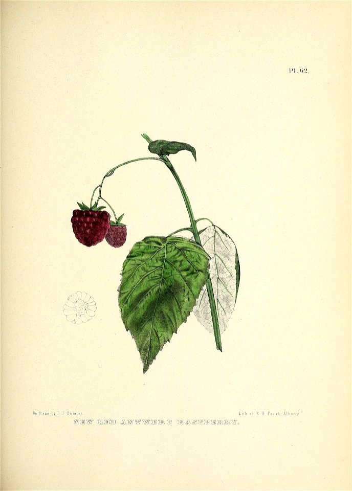 n170_w1150