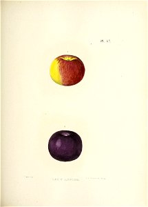 n140_w1150