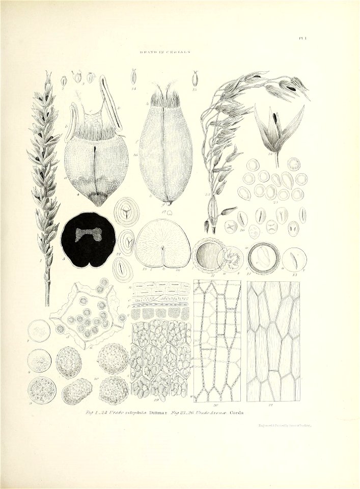 n412_w1150