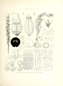 n412_w1150