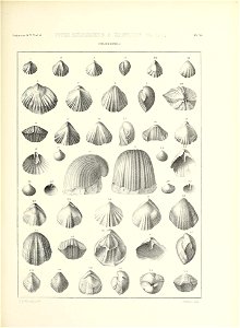n696_w1150