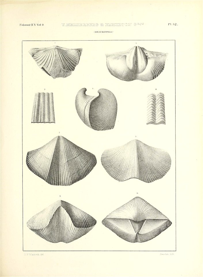 n576_w1150
