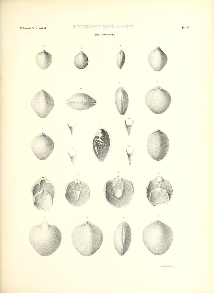 n522_w1150