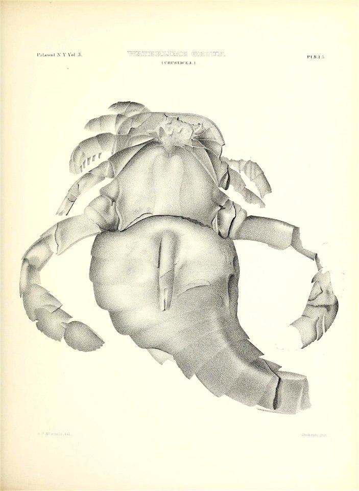 n402_w1150