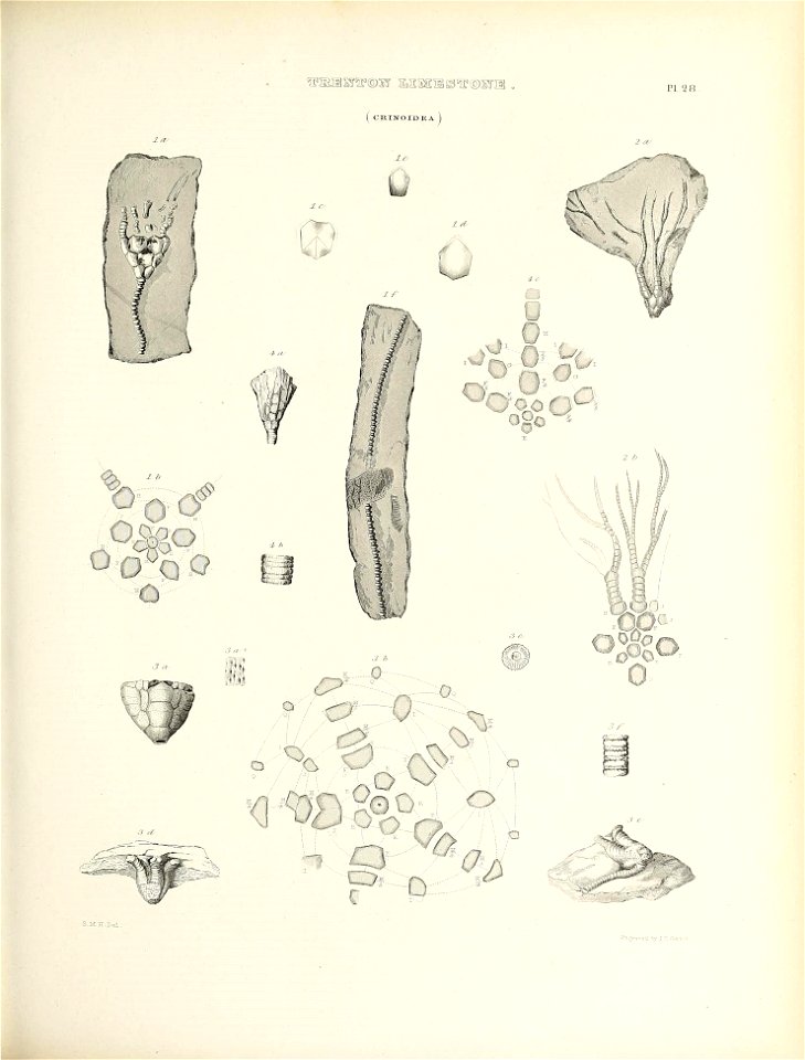 n498_w1150