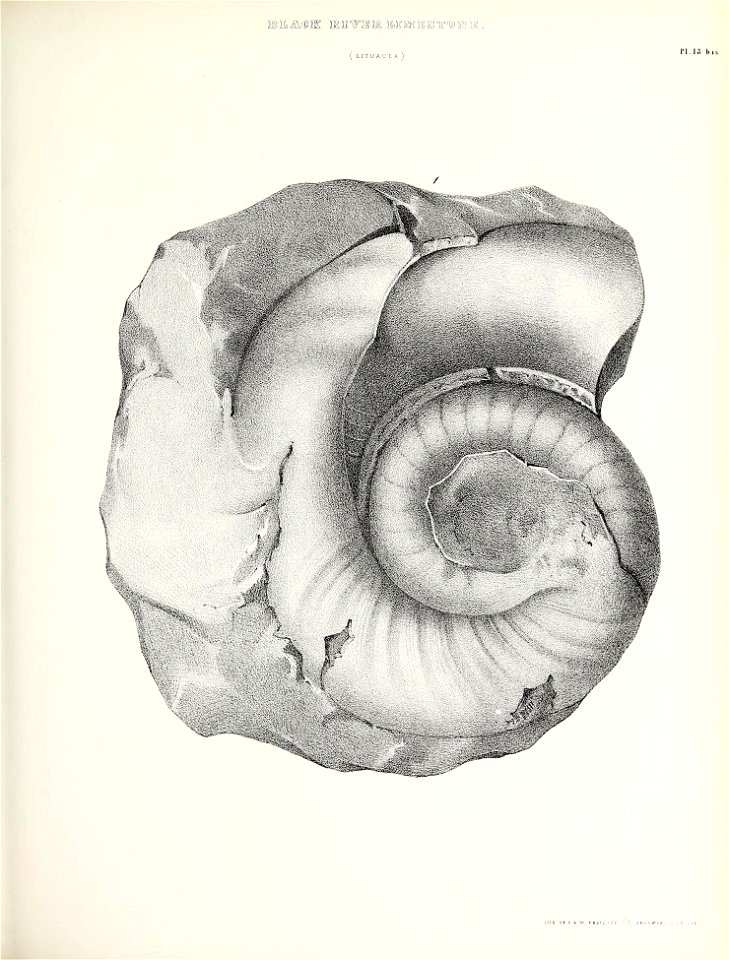 n436_w1150