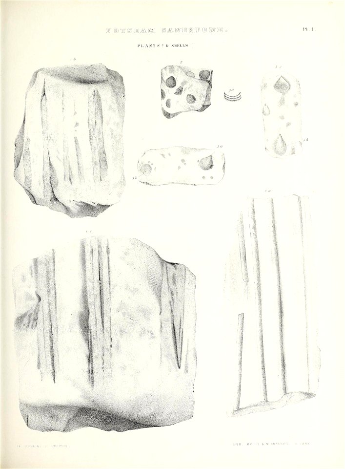 n374_w1150