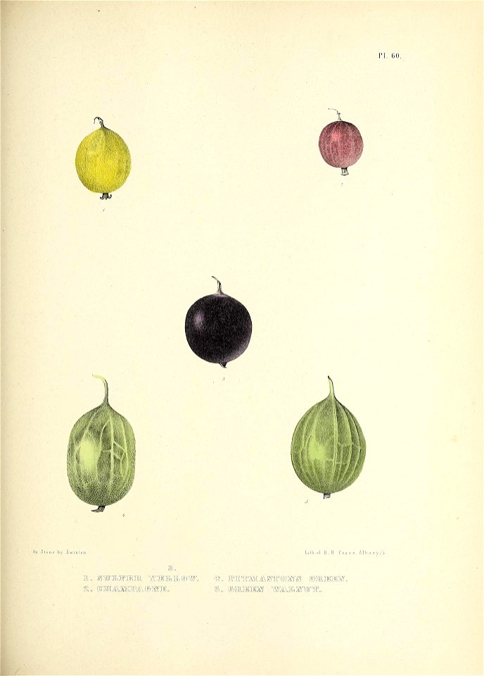 n166_w1150