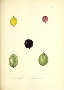 n166_w1150