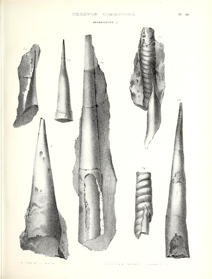 n614_w1150
