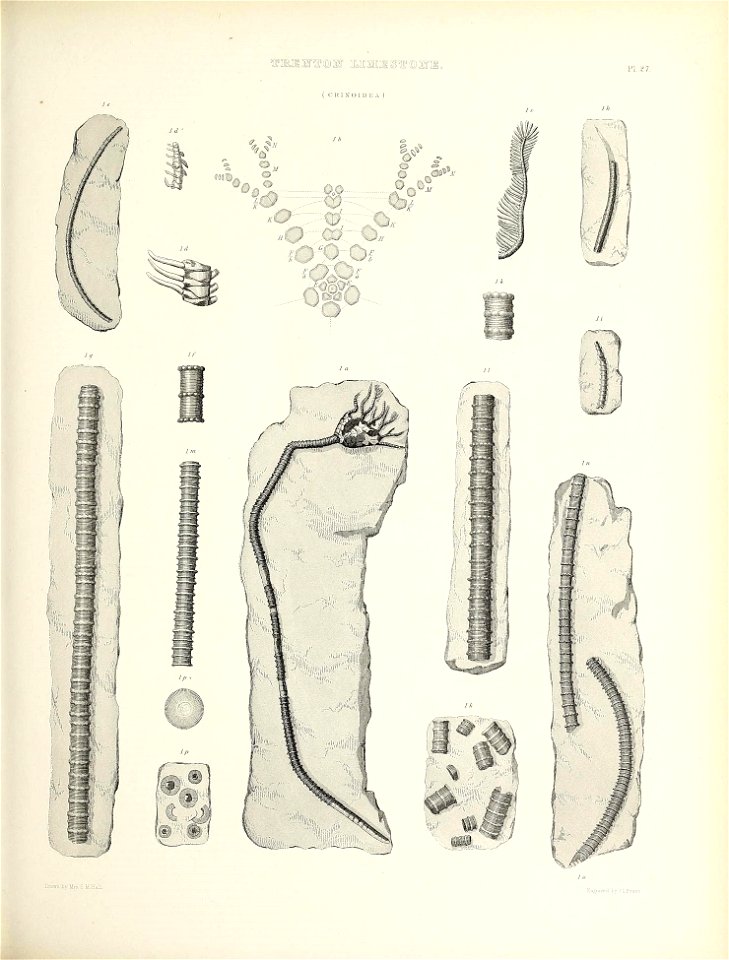 n494_w1150