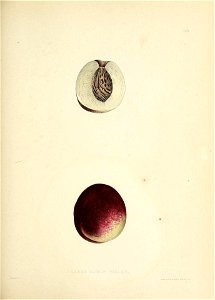 n194_w1150