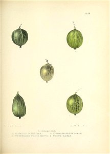 n164_w1150