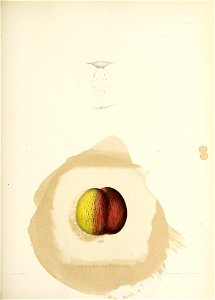 n192_w1150