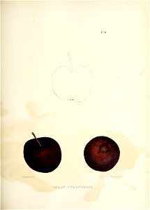 n162_w1150