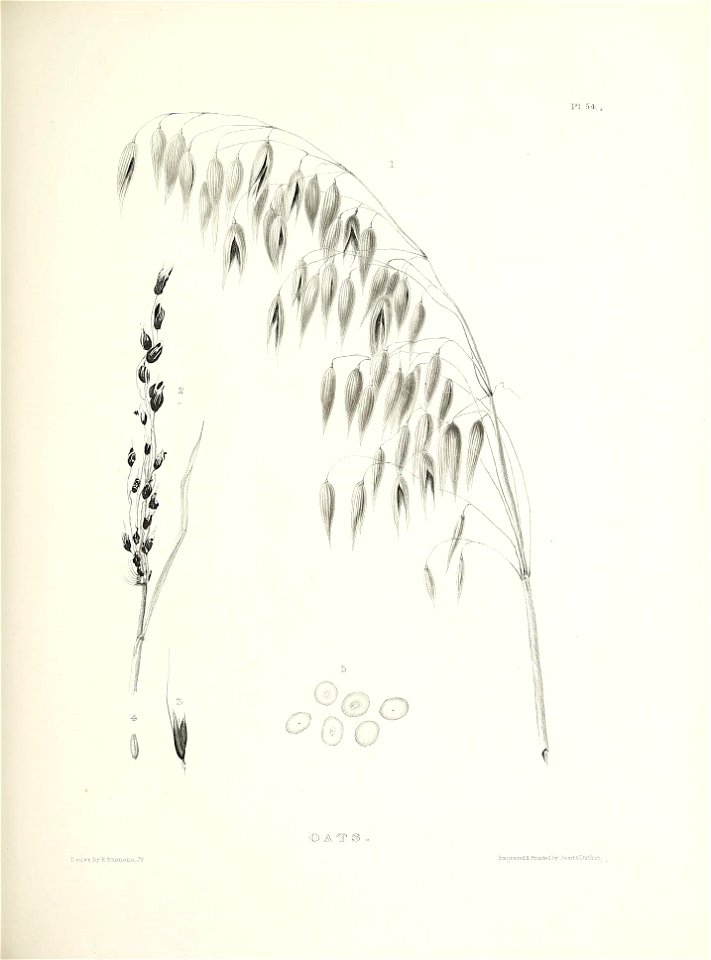 n464_w1150