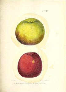 n160_w1150
