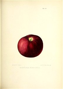 n130_w1150