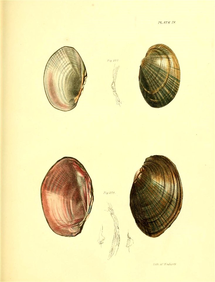 n408_w1150