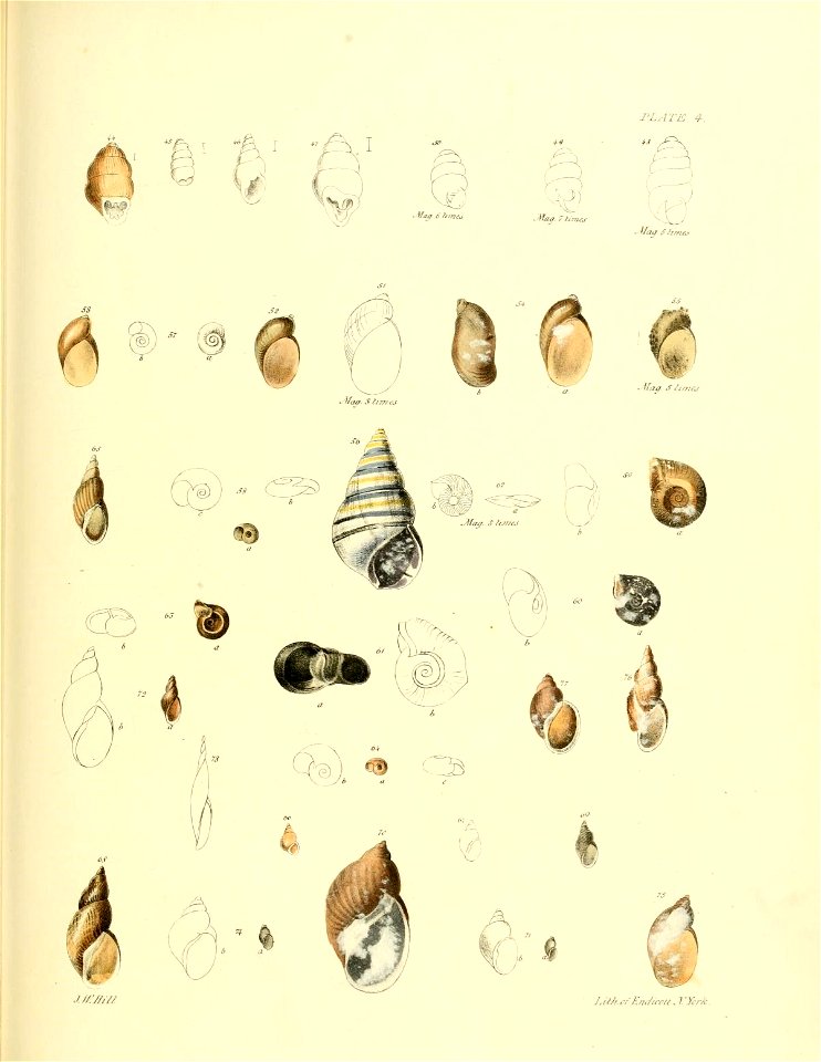 n378_w1150