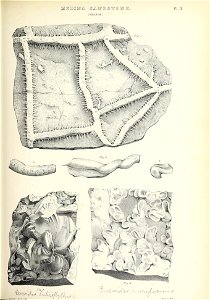n396_w1150
