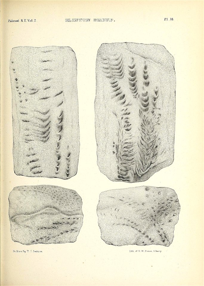 n456_w1150