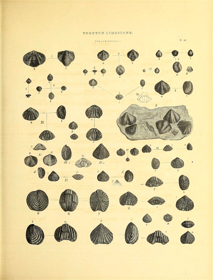 n542_w1150