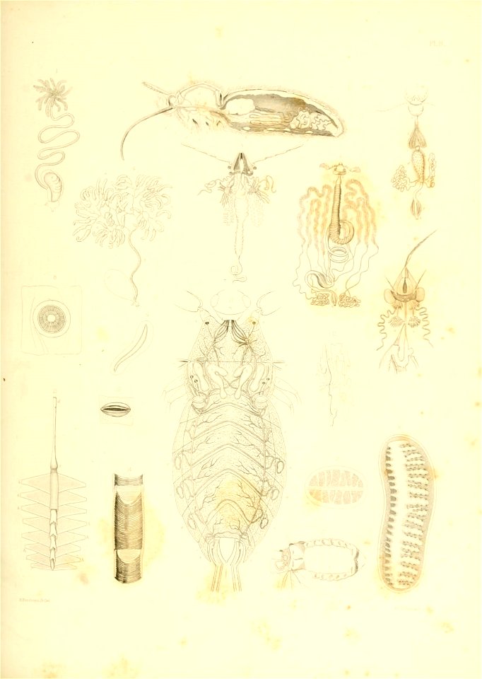 n296_w1150