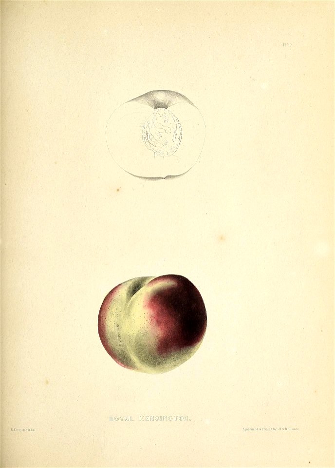 n188_w1150