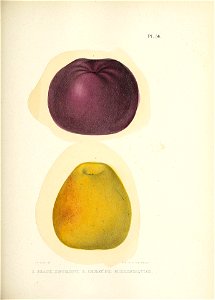 n158_w1150
