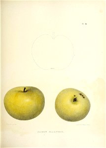 n98_w1150