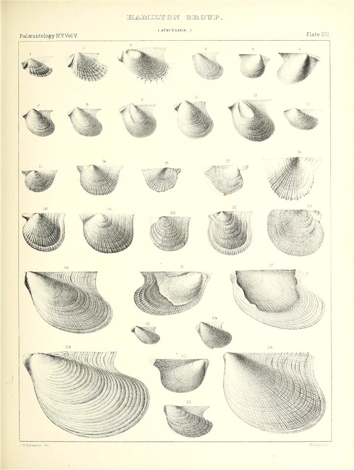 n358_w1150