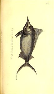 n150_w1150