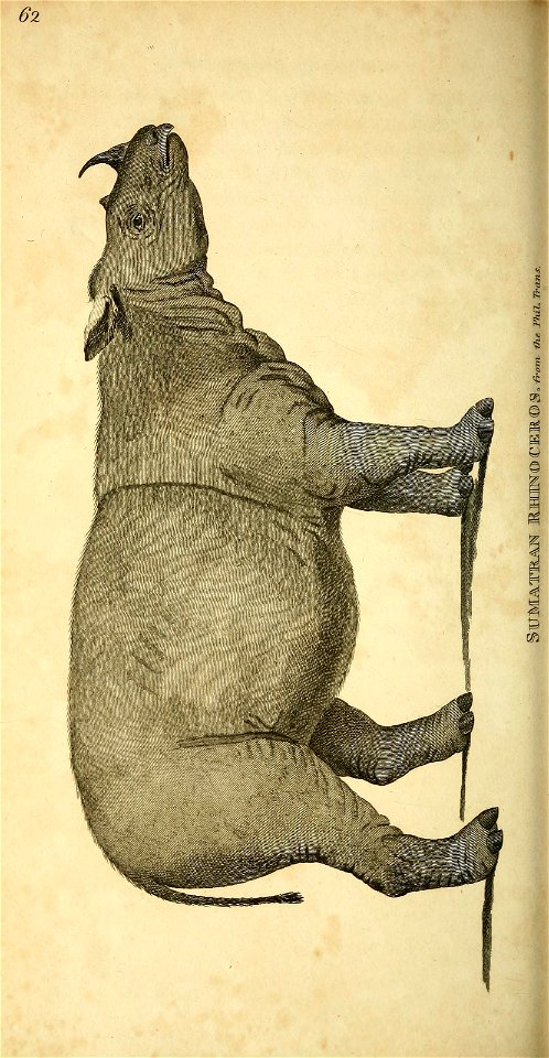 n355_w1150