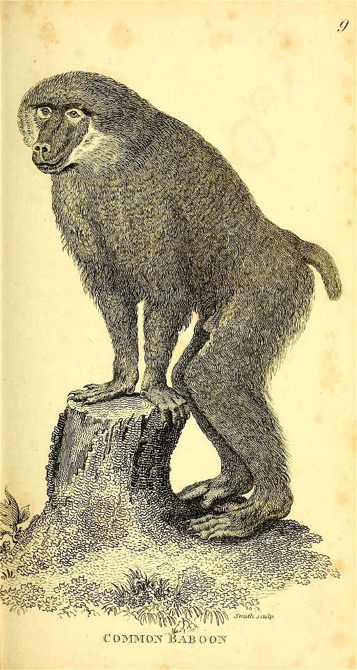 n58_w1150