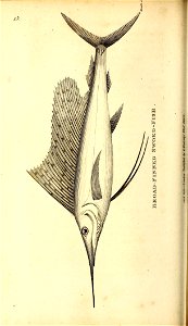 n145_w1150