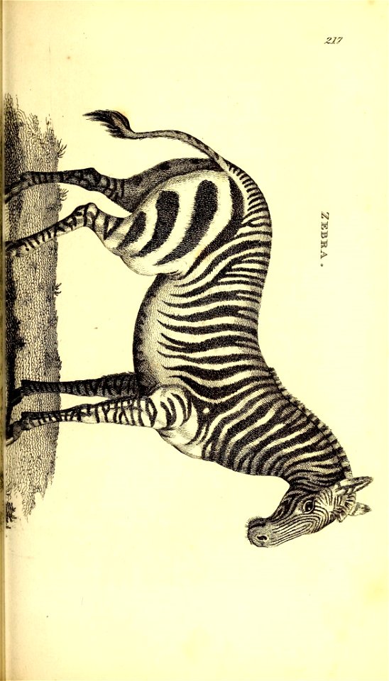 n654_w1150